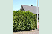 gelderland597b3eb3c4c5a